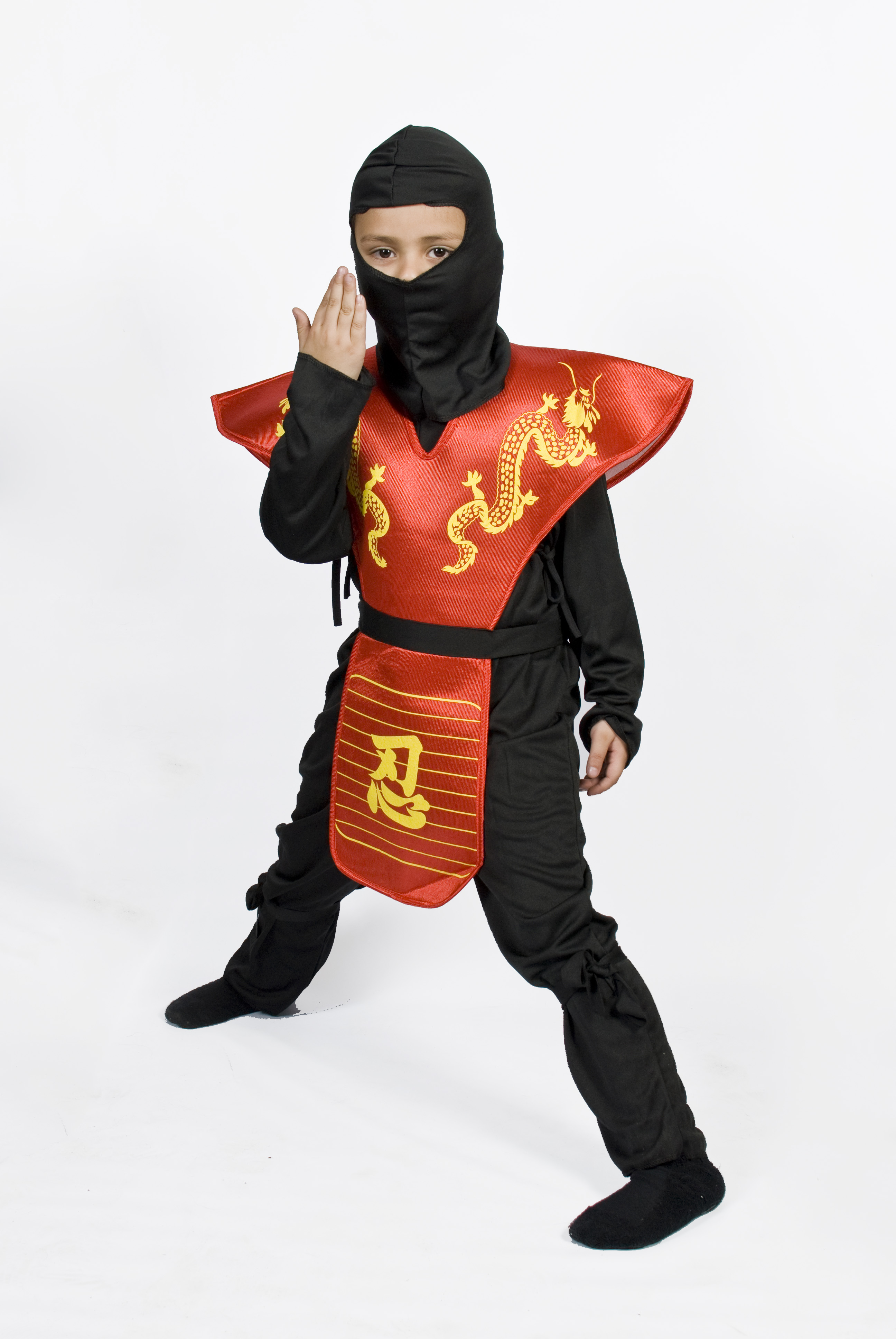 Ninja